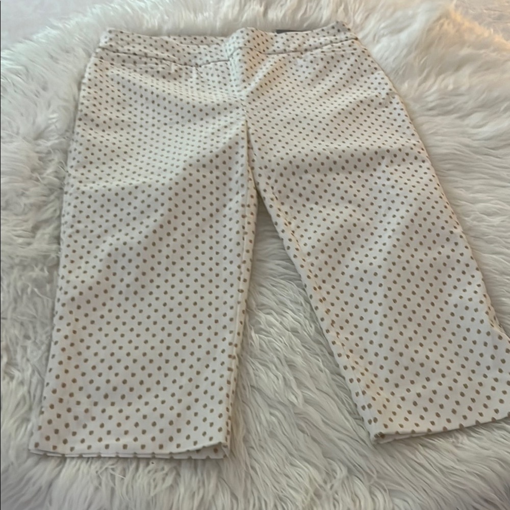 Polka Dot Capri Pants